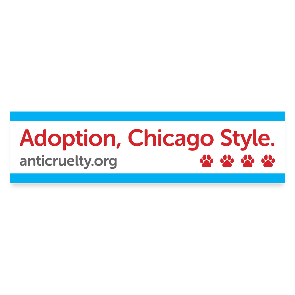 Adoption, Chicago Style Bumper Sticker - white matte