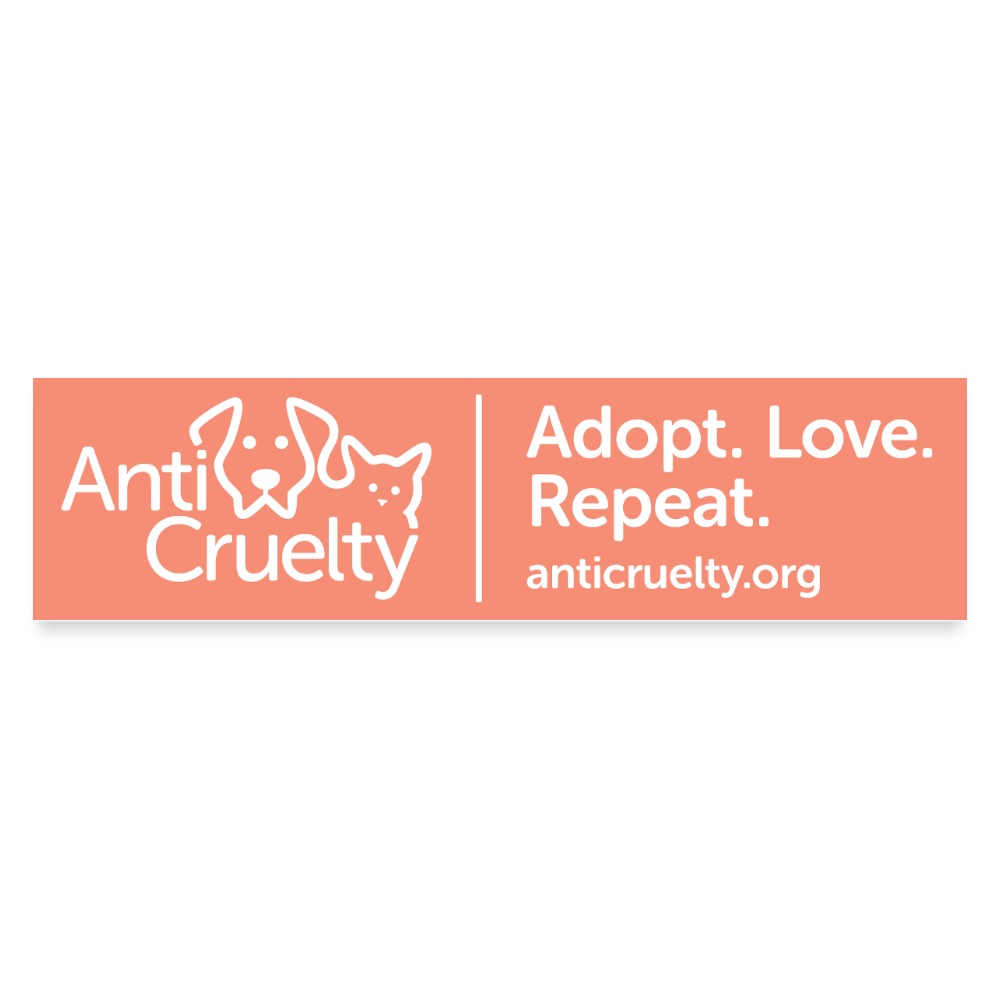 Adopt. Love. Repeat. Bumper Sticker - white matte
