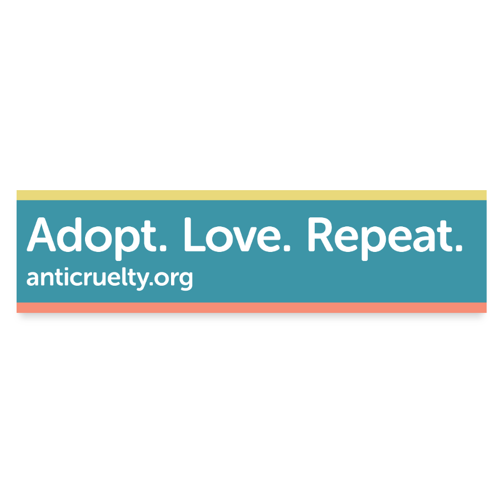 Adopt. Love. Repeat. Bumper Sticker - white matte