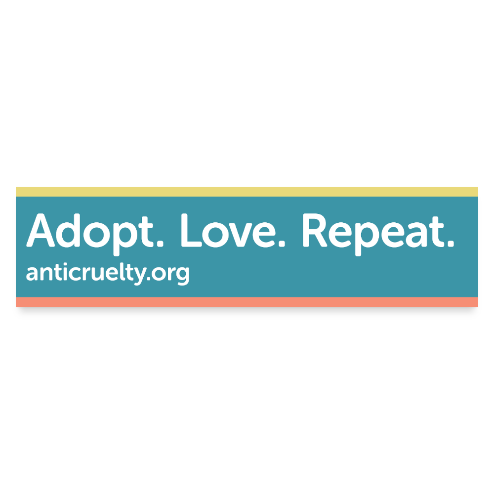 Adopt. Love. Repeat. Bumper Sticker – The Anti-Cruelty Society